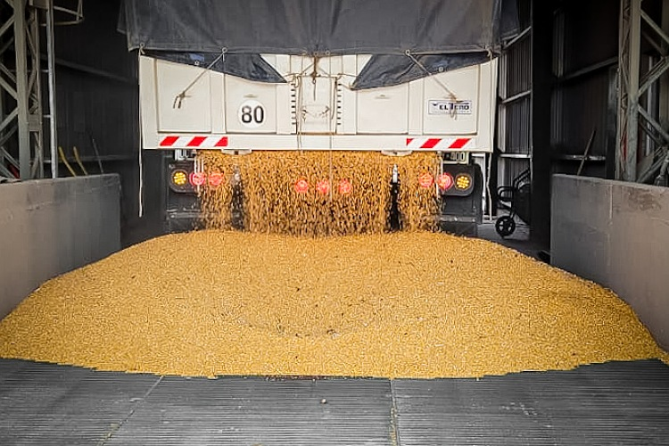 Imagen de Agropecuario