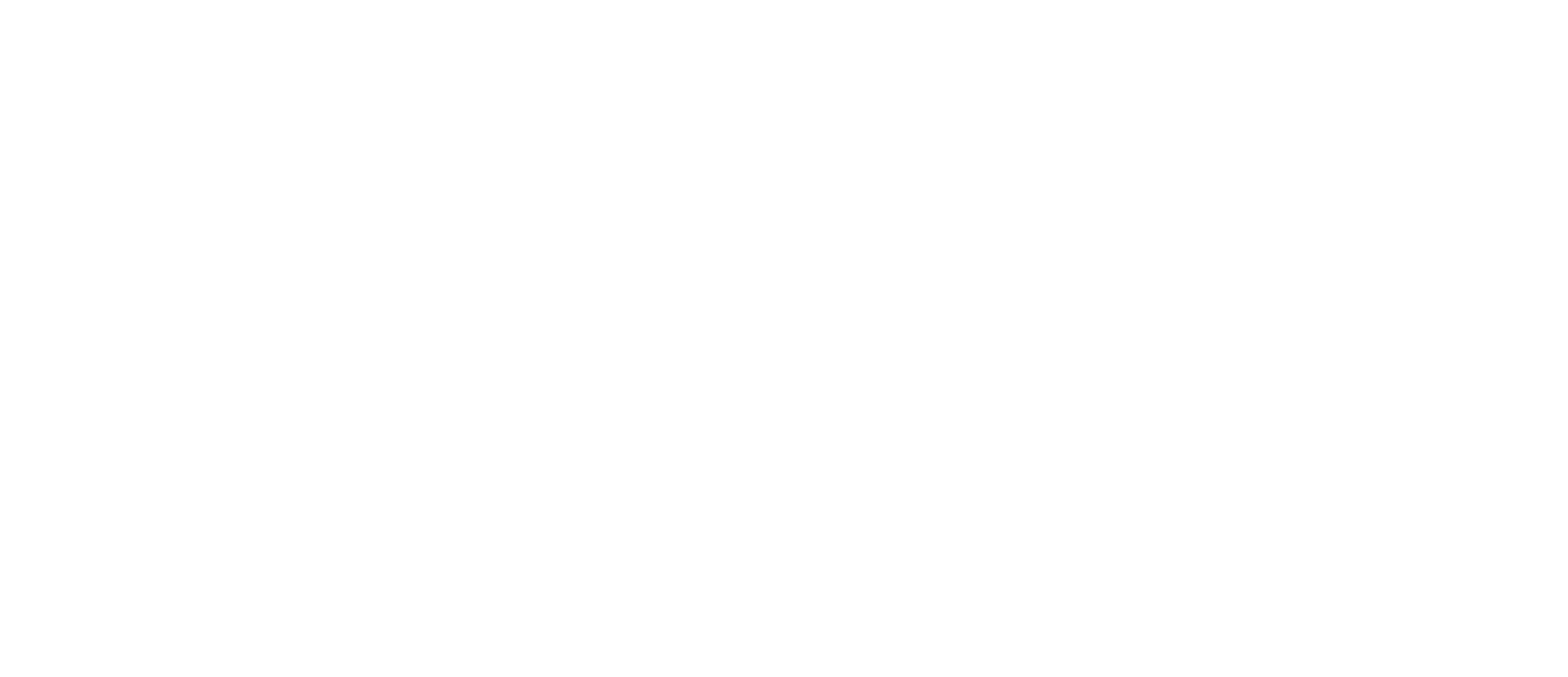 San Luis Activa