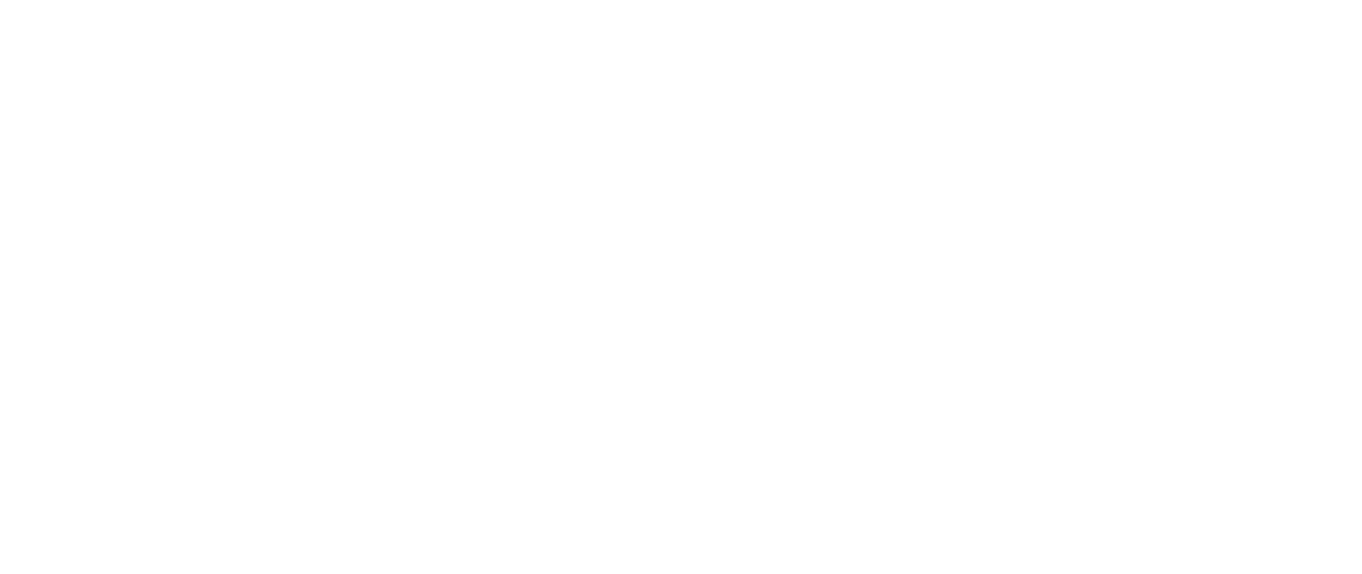 San Luis Activa